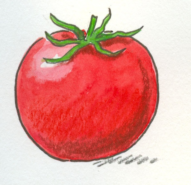 tomate2.jpg