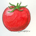 Tomate2