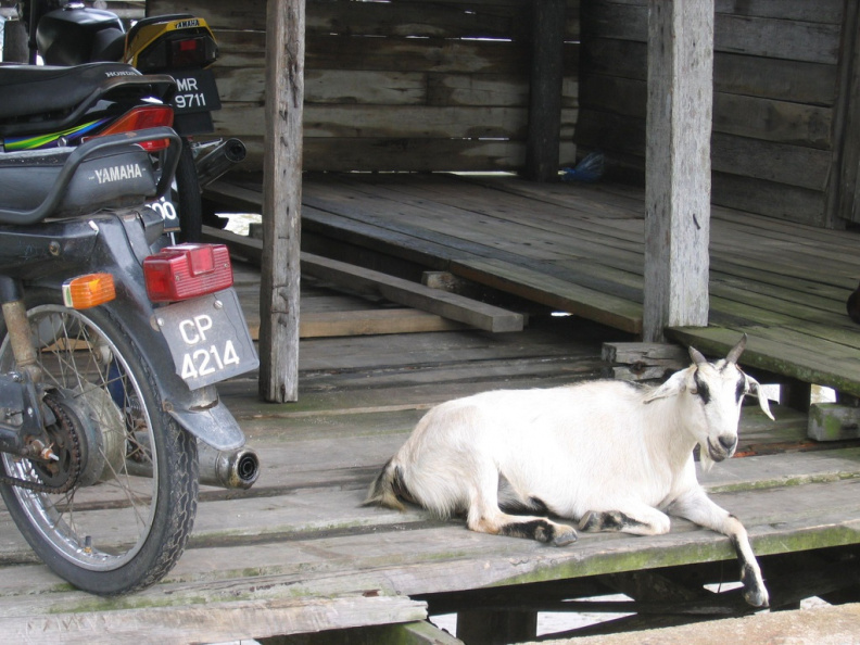 Moped in Malaysia