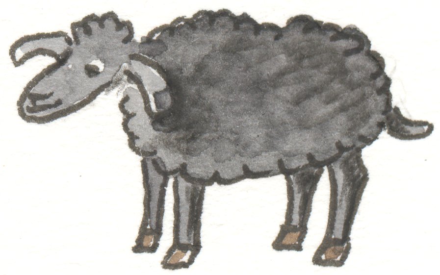 Schaf schwarz